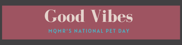 Good Vibes (3)